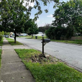 Cleanups by Azamar landscaping & construction reviewed on June 2, 2022
