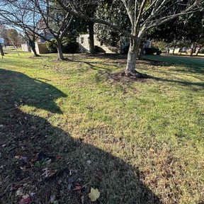 Leaf Removal by JJ Aguilar Lawn Care Inc reviewed on December 3, 2024