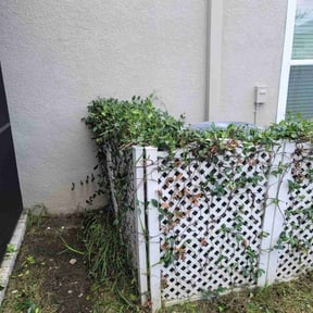Bush Trimming by Lawncare By the beach reviewed on May 14, 2022