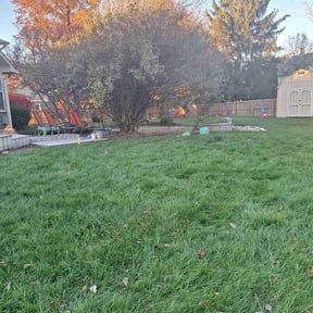 Leaf Removal by Dobie's New Creation Lawn Care reviewed on August 1, 2022