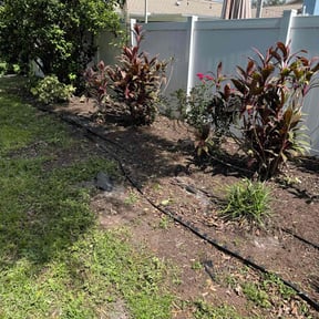 Cleanups by All Pro Landscaping Services reviewed on June 6, 2022