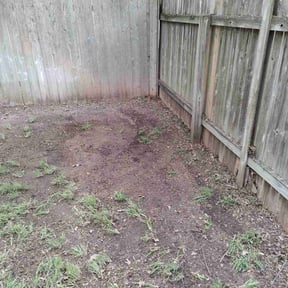 Leaf Removal by Americangreen reviewed on April 24, 2025