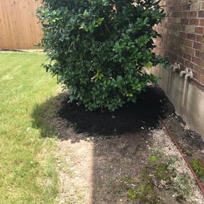 Mulching by SON SHINE LAWNS LLC reviewed on February 13, 2025