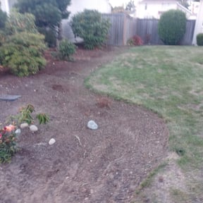 Cleanups by A1 landscaping reviewed on July 1, 2025