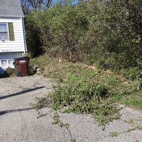 Bush Trimming by Family Lawn Care reviewed on August 11, 2025