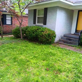 Bush Trimming by MVP Lawns reviewed on May 28, 2025