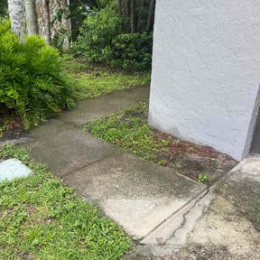Flower Bed Weeding by Efrain Marrero reviewed on October 11, 2022