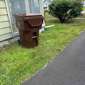 Cleanups by Logan Bowes reviewed on May 17, 2022