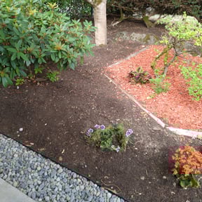 Leaf Removal by Undercut Lawn Care reviewed on August 13, 2024
