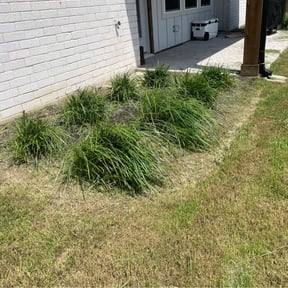 Cleanups by Texas 4 Seasons reviewed on August 24, 2024