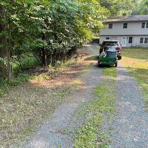 Leaf Removal by Carter&Sons reviewed on June 9, 2022