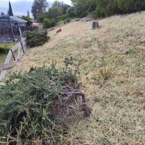 Landscaping by TKM reviewed on April 13, 2025