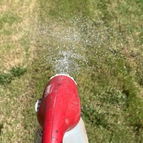 Flower Bed Weeding by Jackson Lawn Care reviewed on March 4, 2025