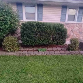 Bush Trimming by Bell's Lawn Service reviewed on May 14, 2022