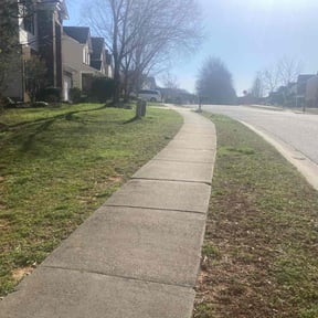 Cleanups by Mlt lawns LLC reviewed on August 4, 2025