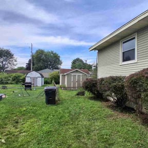 Bush Trimming by DTE Maintenance Llc reviewed on December 1, 2023