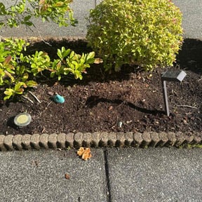 Flower Bed Weeding by Paul Ney reviewed on July 5, 2022