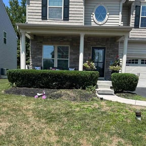 Bush Trimming by Andre Lawns reviewed on December 12, 2024