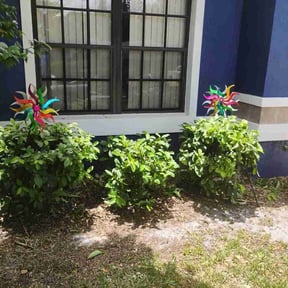 Bush Trimming by Upson Lawn Care reviewed on September 21, 2020