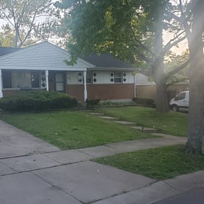 Bush Trimming by Steve’s mowing company reviewed on August 26, 2024