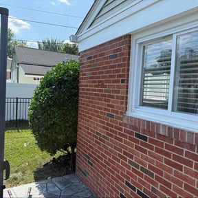 Bush Trimming by Creative property lawn & landscaping reviewed on August 4, 2022