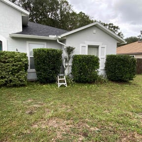 Bush Trimming by Clean Cut Land Management reviewed on June 18, 2022