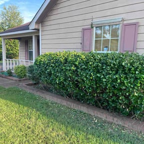 Bush Trimming by Precise Lawn Care reviewed on August 9, 2025