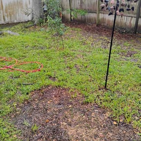 Leaf Removal by Tuscarora Garden&Design reviewed on July 29, 2022