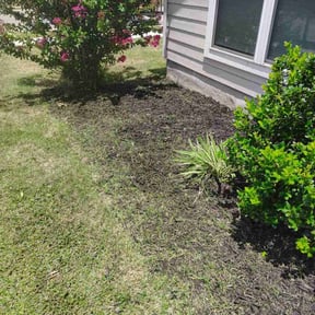 Flower Bed Weeding by A&B lawn Service reviewed on November 30, 2020