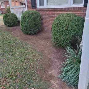 Bush Trimming by Scotton landscaping reviewed on July 22, 2022
