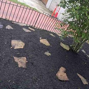 Flower Bed Weeding by TruGreen LawnCare reviewed on June 28, 2025