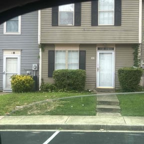 Bush Trimming by TruGreen LawnCare reviewed on June 28, 2025