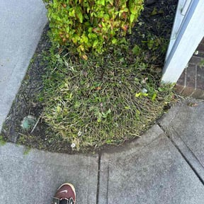 Bush Trimming by Garrett Landscaping reviewed on May 12, 2022