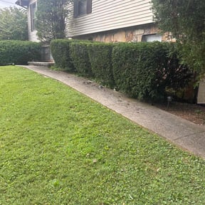 Bush Trimming by FS Lawncare reviewed on February 9, 2025