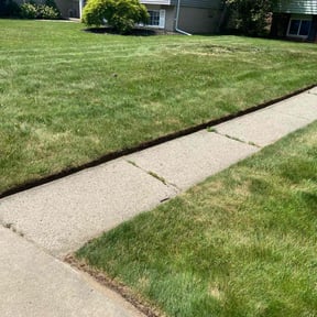 Cleanups by Three E's Lawn Care LLC. reviewed on June 7, 2022