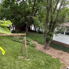 Cleanups by Top Lawn Companies, LLC reviewed on July 22, 2022