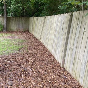 Weeding by Ride In Shine Out reviewed on March 12, 2025