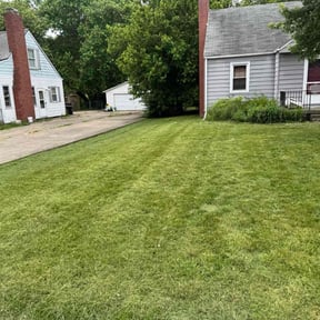Cleanups by Mr. Larrys Yard Maintenance LLC reviewed on August 4, 2022
