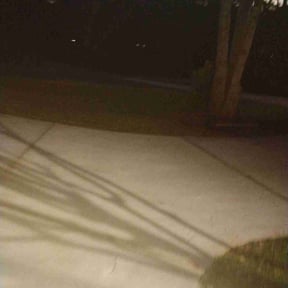 Leaf Removal by Greenworx Lawn Care reviewed on July 2, 2022