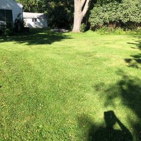 Cleanups by Enclave Landscape Management reviewed on May 9, 2022