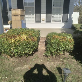Bush Trimming by 3D Jayson Jr Grading &Lawncare reviewed on March 7, 2022