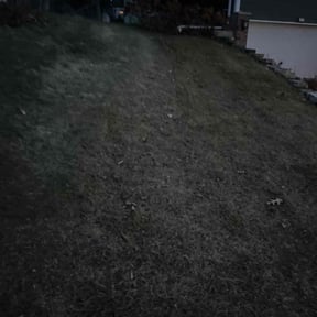 Cleanups by Best of Pros Lawn Service reviewed on October 10, 2024