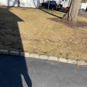 Leaf Removal by Spring lawn care reviewed on October 13, 2022