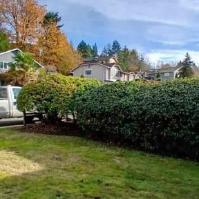 Bush Trimming by Torrens landscaping reviewed on June 10, 2022