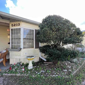 Bush Trimming by BBCNP Services reviewed on September 21, 2024