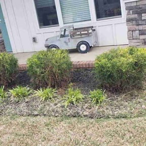 Bush Trimming by Calleigh's Enterprise reviewed on June 19, 2025