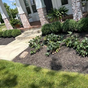 Flower Bed Weeding by Mosey & Son Home and Lawn Care reviewed on April 20, 2022