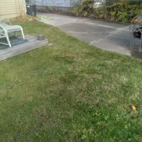 Leaf Removal by 5280 Lawns Llc reviewed on June 10, 2022