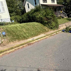 Bush Trimming by HQ Lawn Service reviewed on June 18, 2025