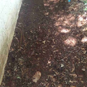 Cleanups by McGregor's landscaping reviewed on June 4, 2022